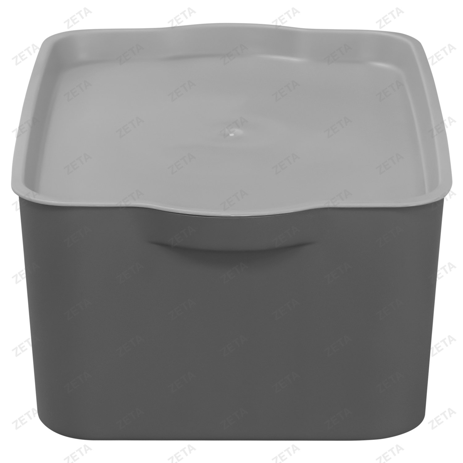 Контейнер с крышкой №SFT-N-06-S (ВИ)