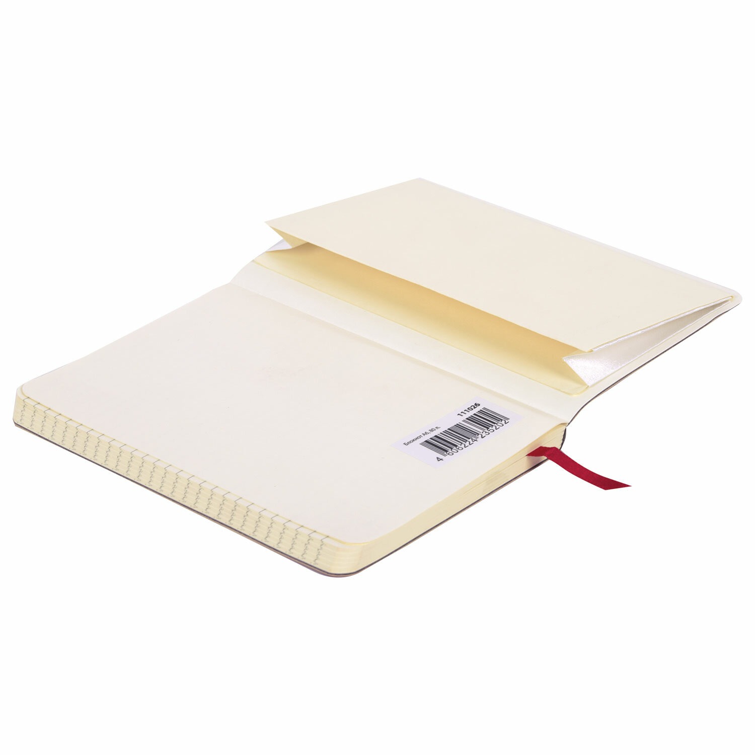 Блокнот МАЛЫЙ ФОРМАТ (100x150 мм) А6, BRAUBERG "Metropolis Ultra", под кожу, 80 л., клетка, красный, 1110262