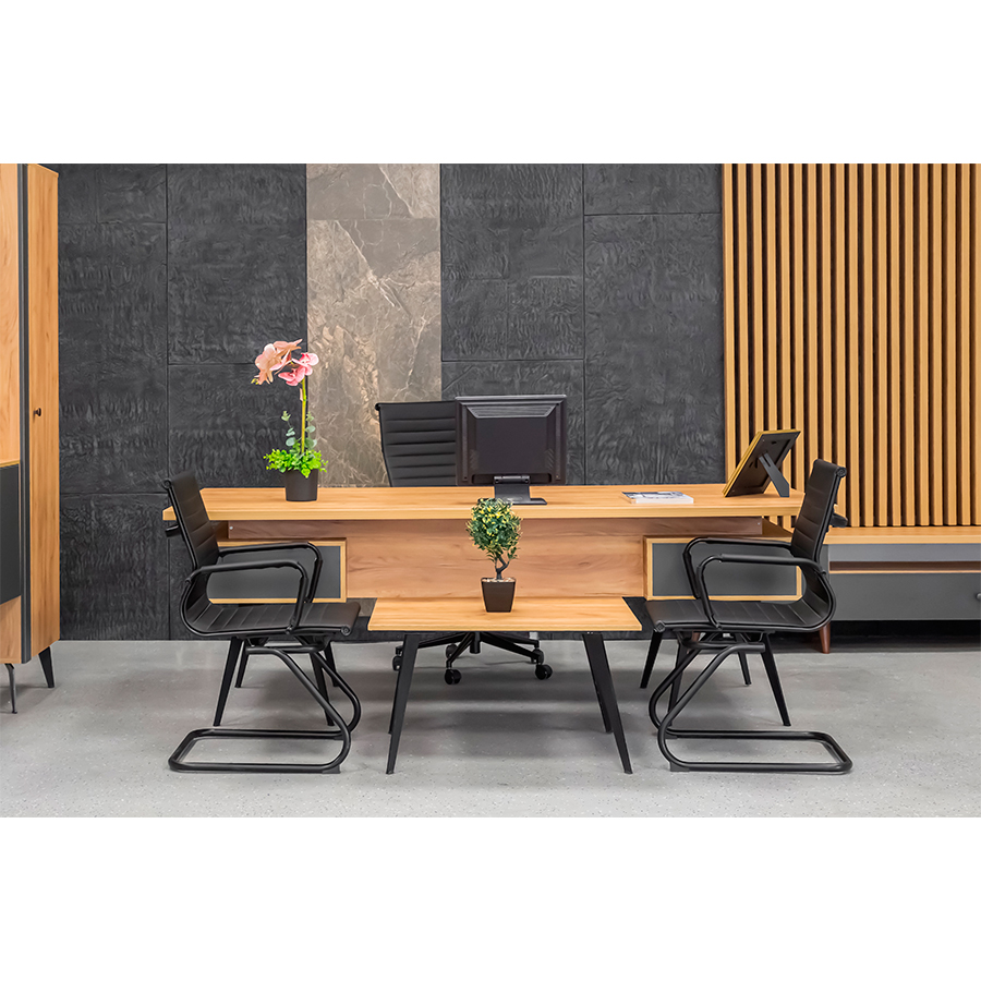 Кабинет "Элден" в цвете люкс (5 позиций)3