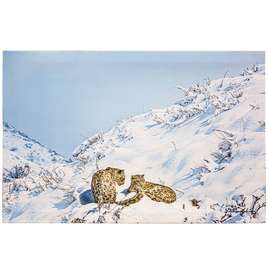 Картина 900*600 (ПГ)0