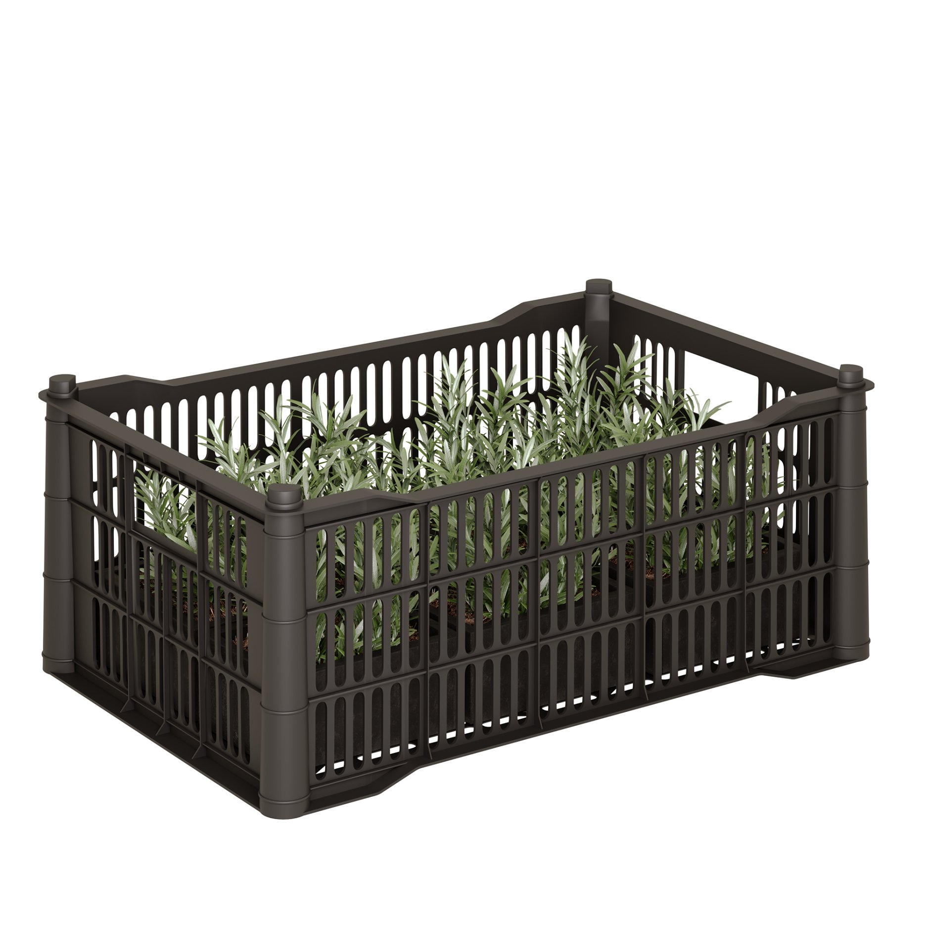Корзина для овощей -"Средняя" (чёрная)0